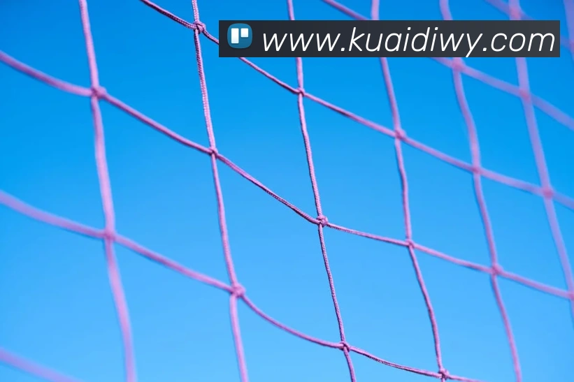 华体育会登录网官网平台生态图